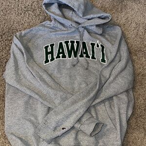 Champion Gray Hoodie with Green Print